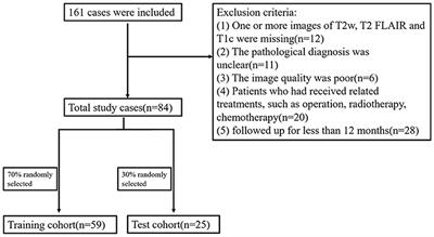 Non-Invasive Prediction of Survival Time of Midline Glioma Patients Using Machine Learning on Multiparametric MRI Radiomics Features